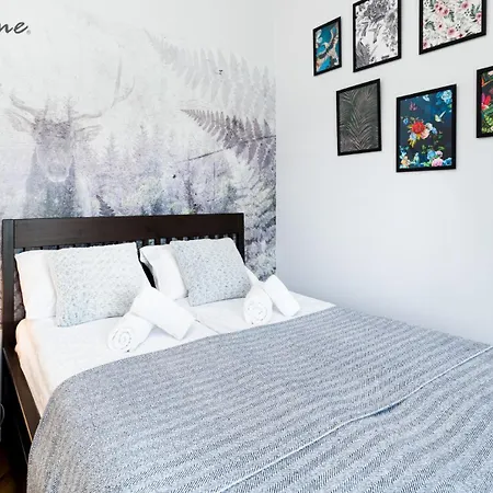 Appartement Wonder - Z Widokiem Na Panorame Gor Izerskich Świeradów-Zdrój