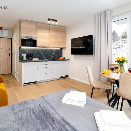 Wonder - Z Widokiem Na Panorame Gor Izerskich